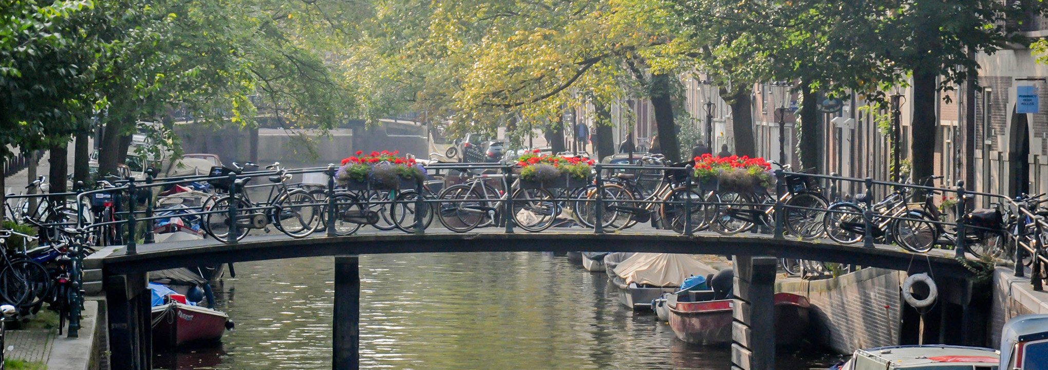 Visit Amsterdam city center
and its canals